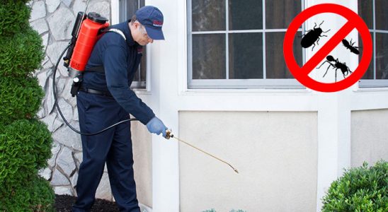 Nallıhan Böcek ve Haşere İlaçlama böcek ilaçlama ve haşere kontrolü — ilaclama-tr.com